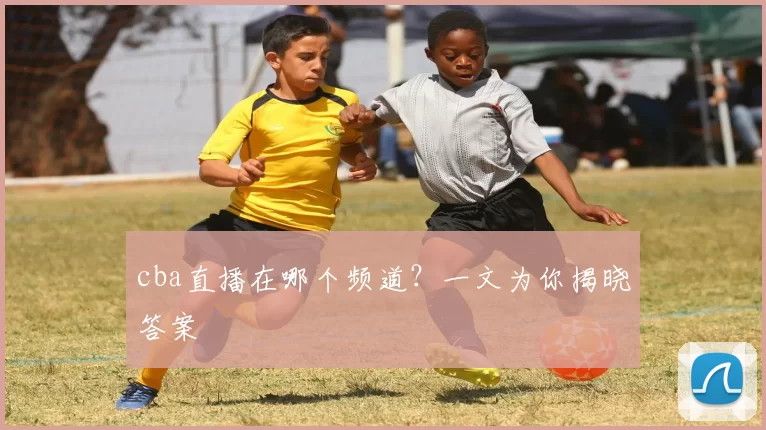 cba直播在哪个频道？一文为你揭晓答案