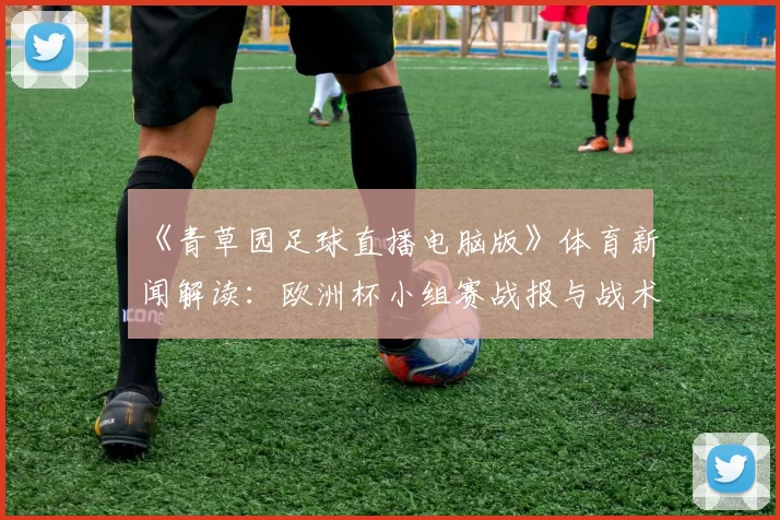 《青草园足球直播电脑版》体育新闻解读：欧洲杯小组赛战报与战术影响