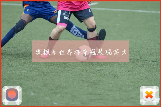 樊振东世界杯夺冠展现实力