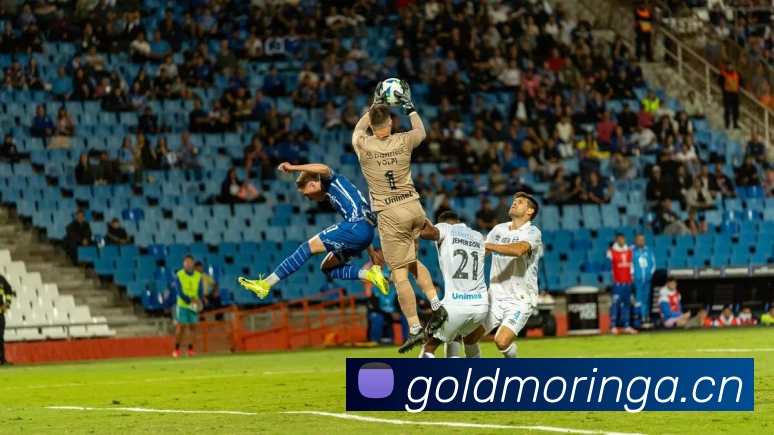 完美体育官网发展历程