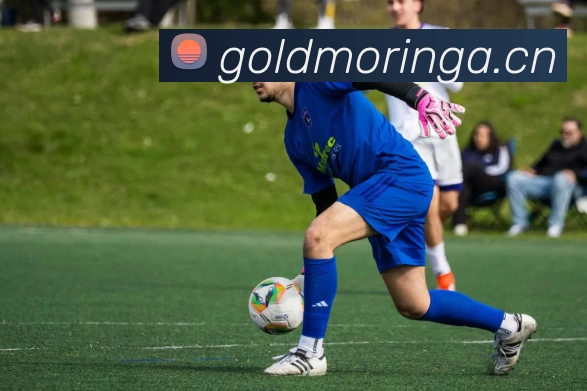 湖人队击败魔术队夺得2009年NBA总决赛冠军